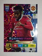 Karta Rising Stars Elanga