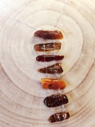 Naszyjnik Słoneczna Drabinka - Bursztyn Bałtycki, Inkluzje, Stal Szlachetna