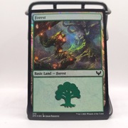 Magic the gathering Forest (375) - Foil - Strixhaven: School of Mages MTG