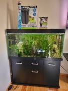 Akwarium 300L z szafką – komplet z rybami i roślinami + sprzęt na gwarancji