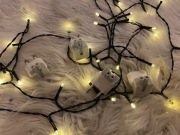 ### Przełączka apple M - 1 sztuka ###