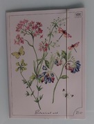 Teczka tekturowa A4 z gumką