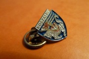 Koszalin 2. wersja  Herb pin przypinka