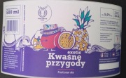 Kwaśne Przygody Fruit Sour Ale browar Pracownia Piwa Modlniczka