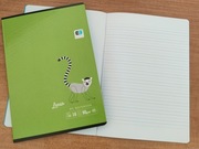 Zeszyt A5 16 kartek w linię 