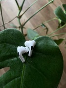Apple Airpods 2gen