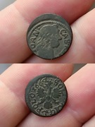 Boratynka Jan Kazimierz 1664r. Ładna