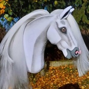 Piękne koniki Hobby Horse A4 + sprzęt od ręki