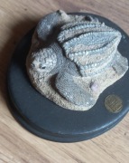 Figurka żółw skórzasty