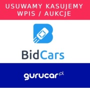USUWANIE HISTORII  STRONY BID.CARS - GURUCAR USA - SZYBKO 12H