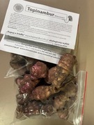 TOPINAMBUR czerwony  EKOLOGICZNY ŚWIEŻA BULWA Z NASZEGO GOSPODARSTWA 5 KG 