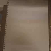 KSIĄŻKA FOTOGRAFICZNA „Seks” ze zdj.Stevena Meisela Studio.wydWarner Books