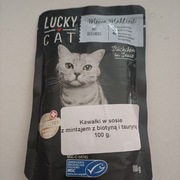 Saszetka dla kota 100 g w sosie mintajem 