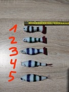 Paralonka paralonki zestaw ruchome oczy 3D chwost