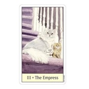 Cat's Eye Tarot Karty