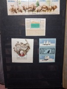 Znaczki kolekcja Czyste