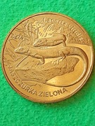 2 ZŁ 2009 JASZCZURKA ZIELONA