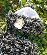 PUPILL OKAZJA,piękny i ciepły polski komplet na zime, czapka+szalik, 48-50