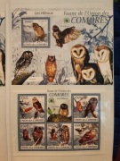 Komory 2009 Mi 2412-6  + bl 526  ptaki sowa   zestaw idealny