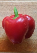 Nasiona papryka słodka Capsicum Annuum Czerwona kolekcjonerskie