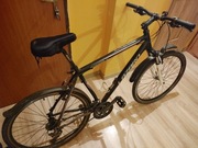 rower Lazaro Integral V