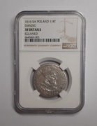 Zygmunt III Waza (1587-1632) - Ort 1616 Gdańsk, NGC XF DETAILS