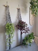 Dwa kwietniki KOLOR DOWOLNY