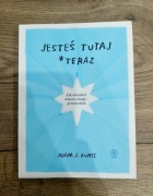 Książka ,, Jesteś tutaj *teraz"  Adam J. Kurtz