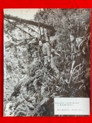 FOTOS~  MIŁOŚĆ SZMARAGD I KROKODYL ~ REŻ. Robert Zemeckis