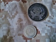 Challenge coin United States Marine Corps skull and pistols