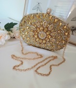 Kopertówka wieczorowa - Kryształowe słońce 