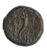 STAROŻYTNA MONETA PERSKA ANTIOCH IV EPIFANES AKKO PTOLEMAIS * II W PNE *VF