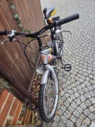 Rower dzieciecy Wheeler