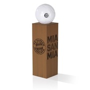 Lampka dekoracyjna FC Bayern Monachium LED 84cm