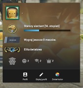 GLOBAL WINGMAN | KONTO CS2 PRIME | OKAZJA | Premier Ready