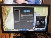 HP Compaq LA2006x monitor