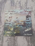 STEVE HILLAGE. - Live Herald