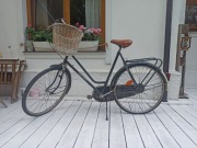 Rower holenderski super sport