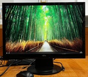 Monitor Fujitsu Siemens Amilo SL3220W - 22 cale DVI/VGA