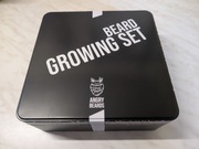 Zestaw do Wzrostu Brody Roller 540 Igieł Serum Doping 100ml Angry Beards