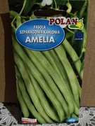 Fasola szparagowa karłowa  "Amelia"