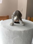 Pies z porcelany