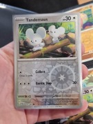 Karta Pokemon Tandemaus (PAF 073) Reverse Holo 