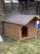 Buda duża dobra dla suki z małymi pieskami