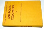 Anatomia człowieka tom 5 Adam Bochenek stan bardzo dobry + gratis 