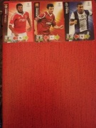 Karty panini uefa 2012/2013 - 2 szt