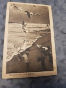 pozdrowienia z nad bałtyku lata 40 pocztówka karta nr 652