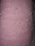 tiul różowy z perełkami