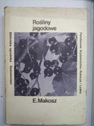 Rośliny jagodowe MAKOSZ