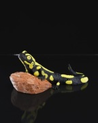 Salamandra Plamista Wyjątkowa Ozdoba Akcent na Regał lub do Roślin